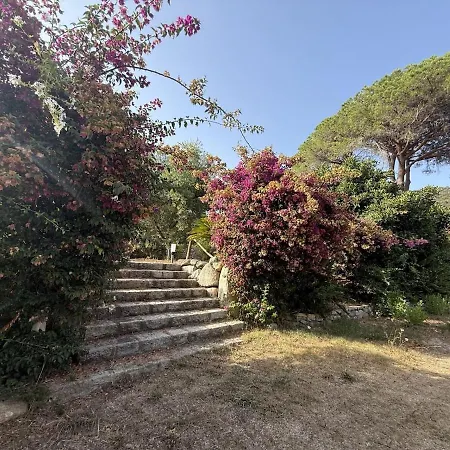 Le Cicale * Procchio (Isola d'Elba)